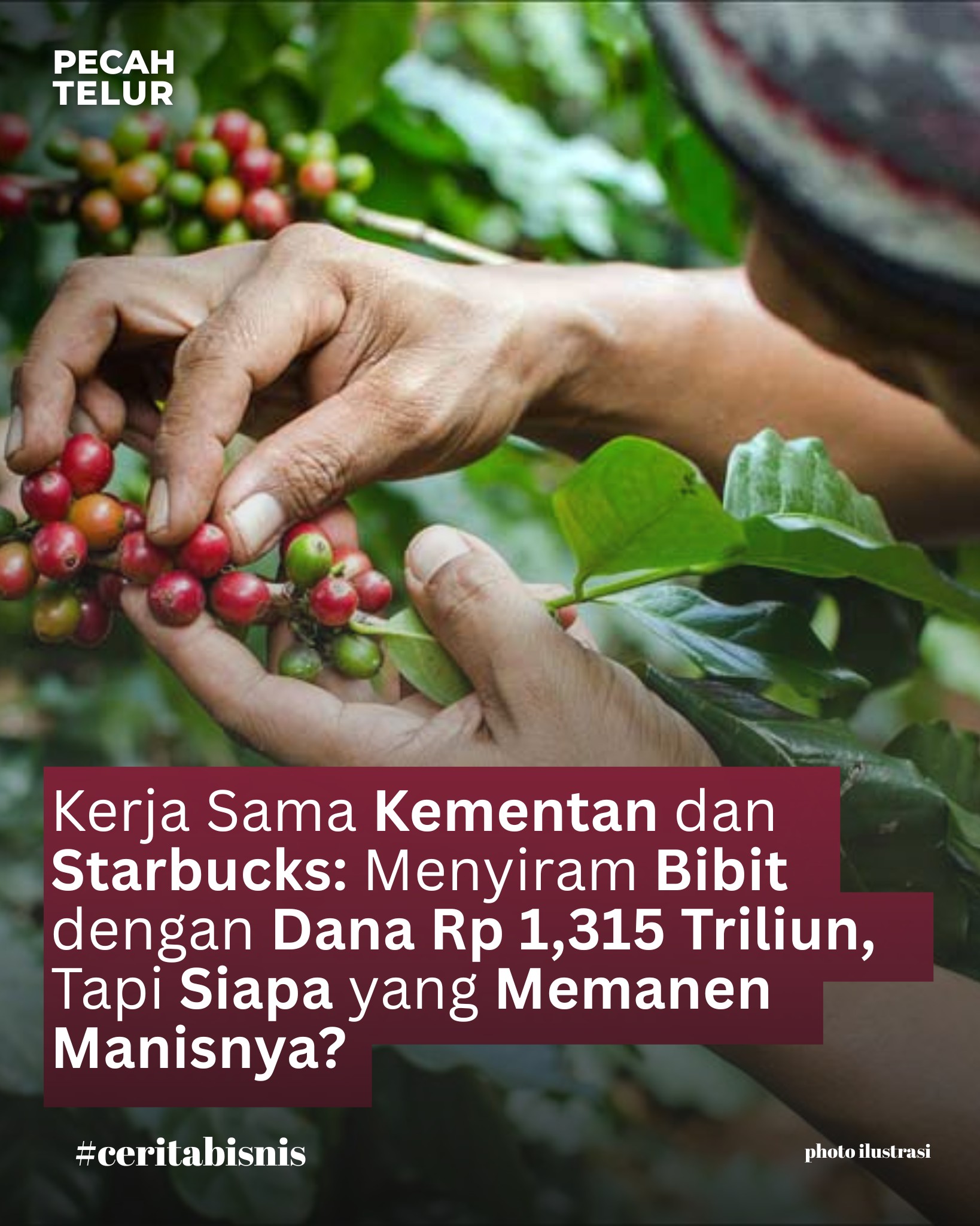 PecahTelur - Berita mengenai rencana Kementerian Pertanian (Kementan ...