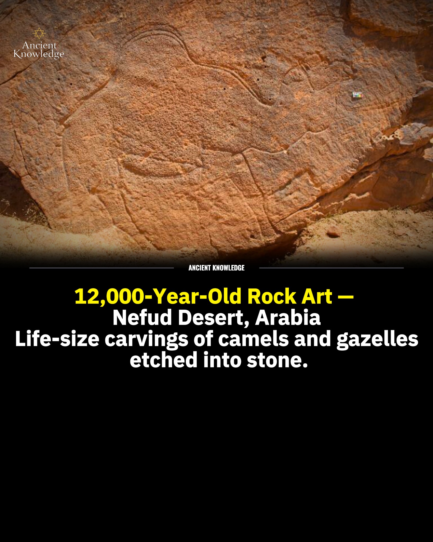 Ancient rock art in Saudi Arabia reveals 12,000-year-old desert life