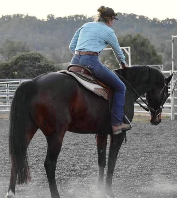 Southern - In 2017 the Southern Zone Rodeo Association presented 2 ...