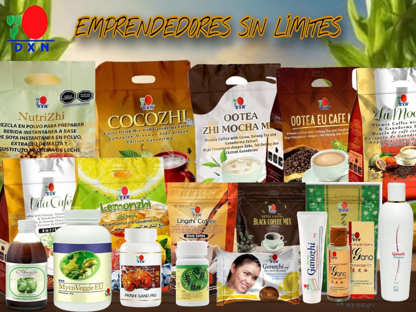 DXN Ganoderma Salud Y Estilo De Vida