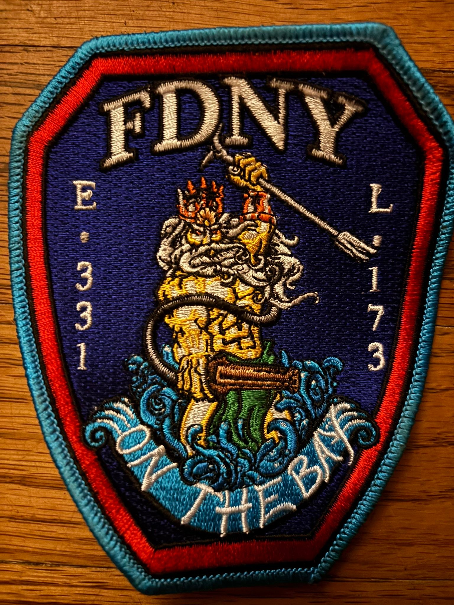 FDNY E331 / L173 | New York NY