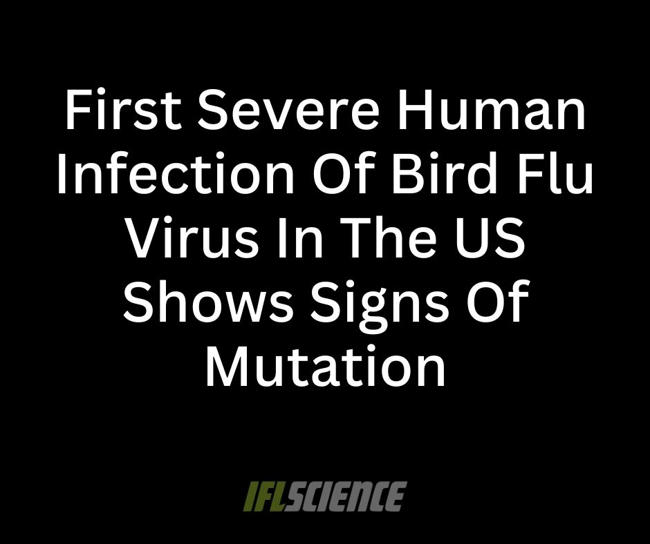 IFLScience - There have been 66 cases of bird flu in...