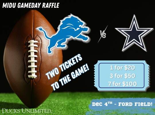 Michigan - 🚨 MICHIGAN RAFFLE ALERT! 🚨 Get ready, football fans — the ...