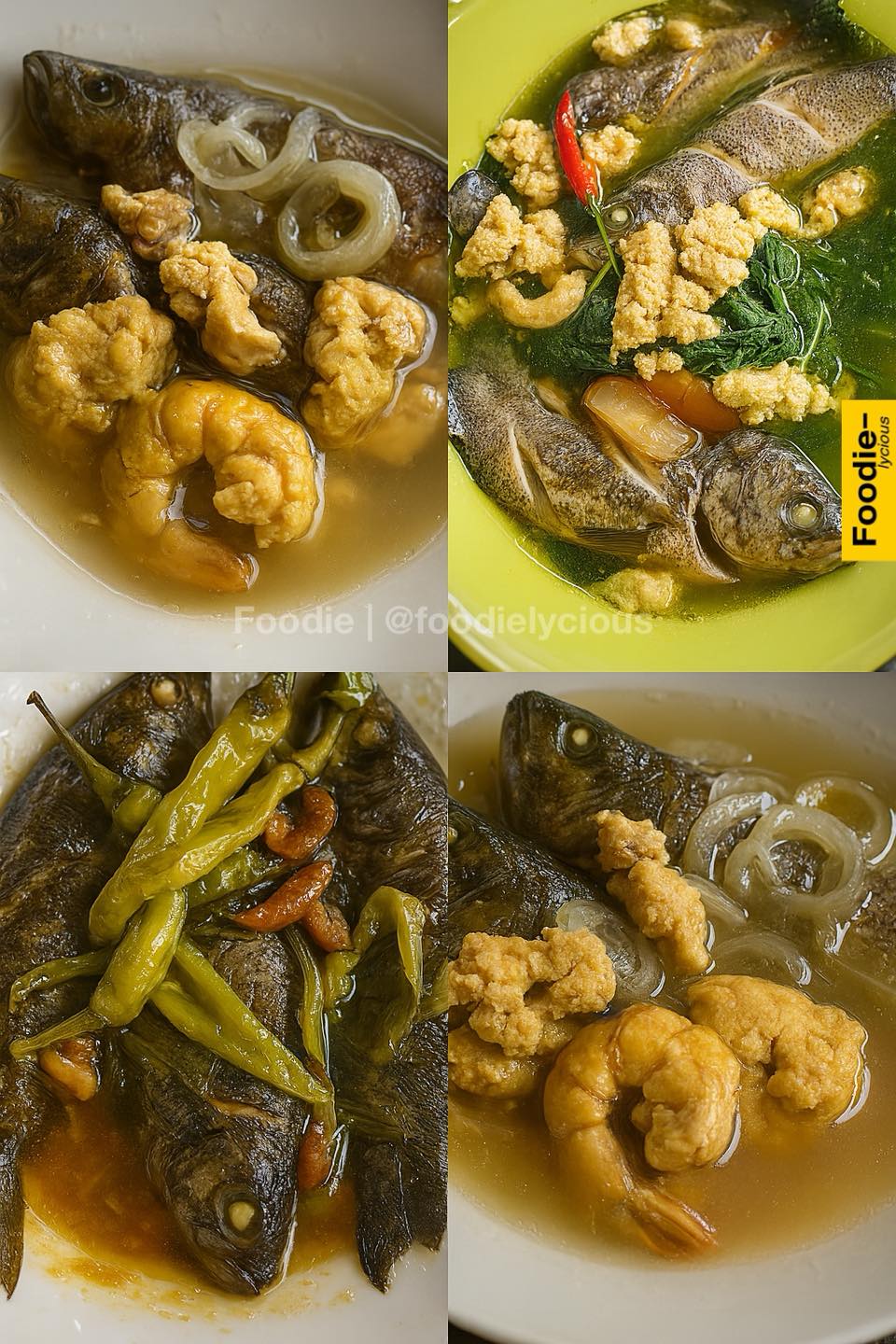 Foodie - Gurami is a freshwater fish prized for its... | Facebook