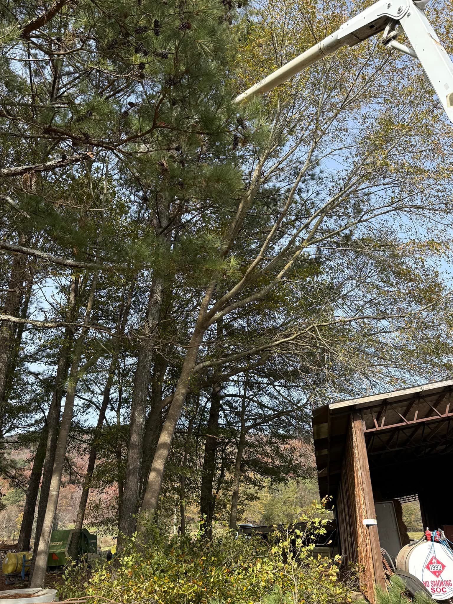 Harris Tree Service | Springville AL