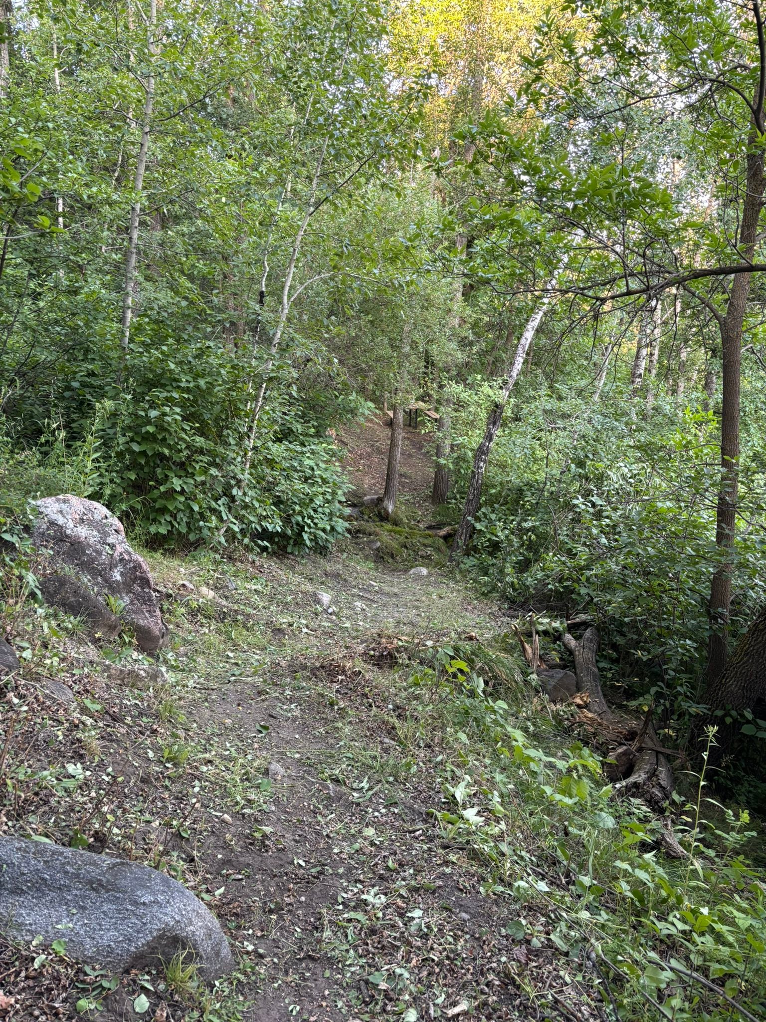 Valley Springs Campground