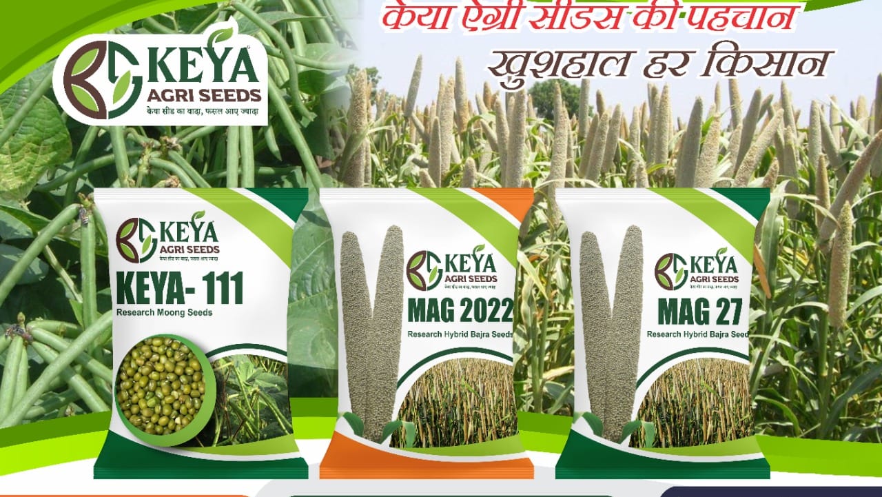 KEYA AGRI SEEDS