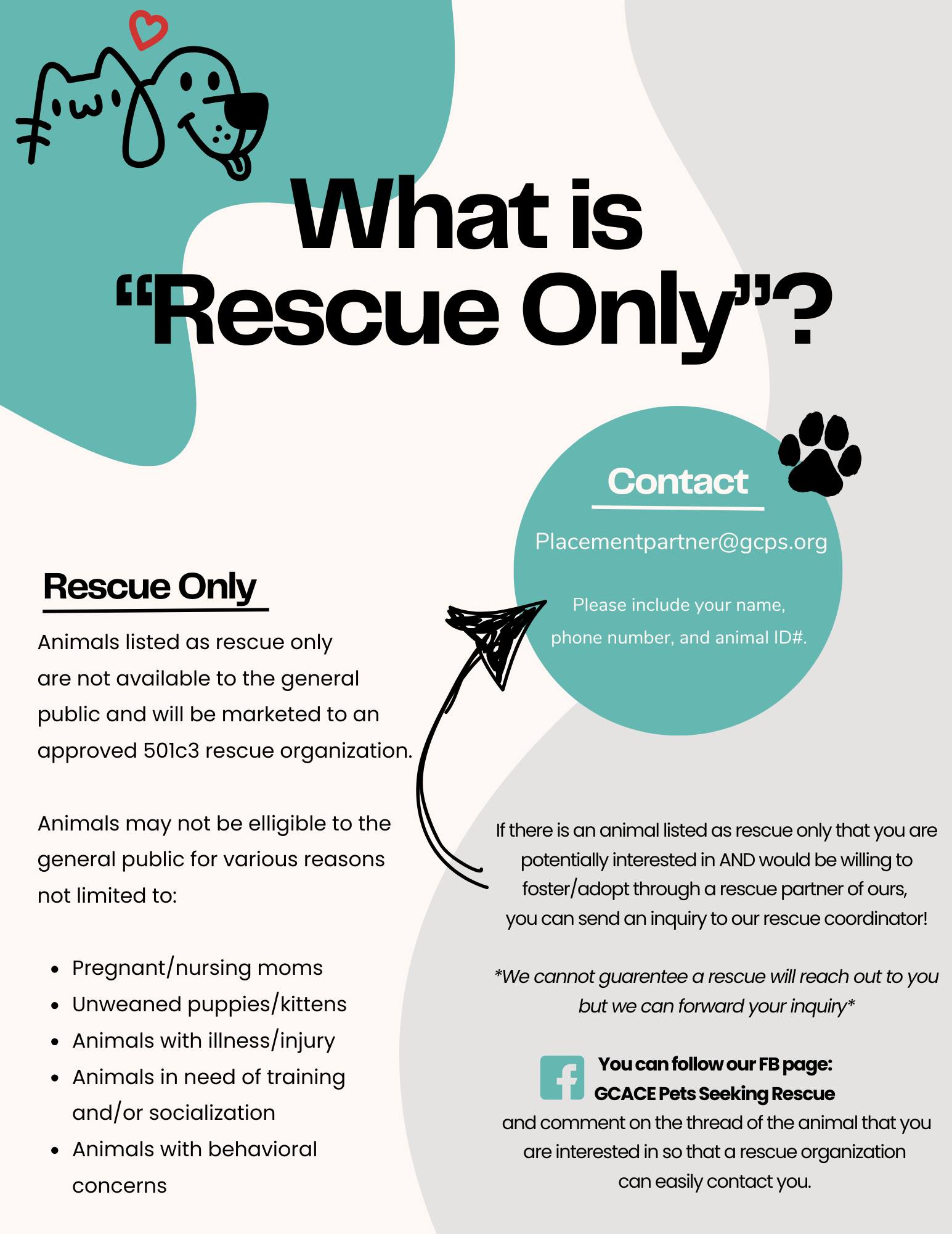 THESE are the animals... - All Animals Sanctuary & Rescue