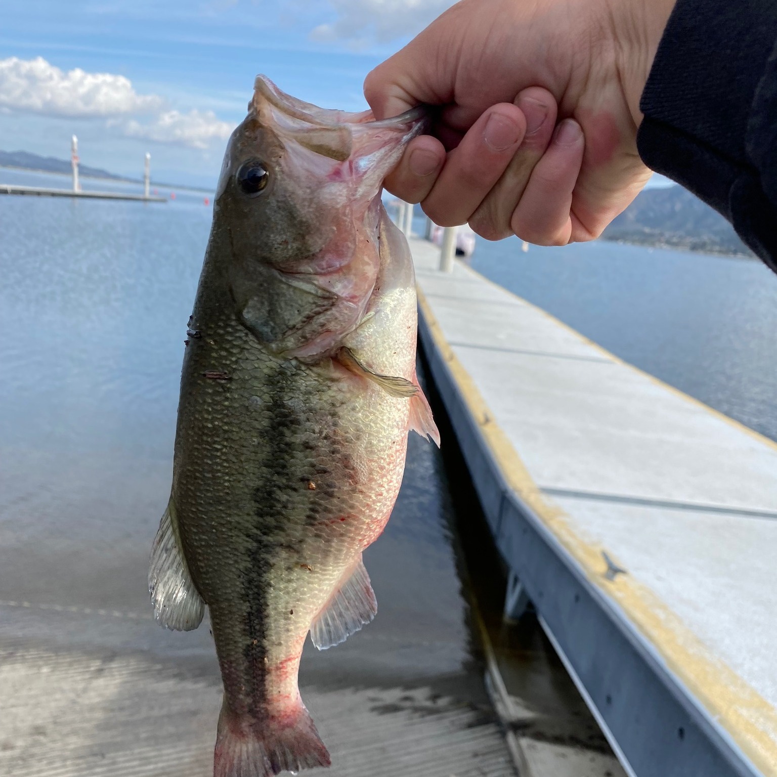 Launch Pointe - 🎣 Get Hooked at Launch Pointe! 🐟 Ready to... | Facebook