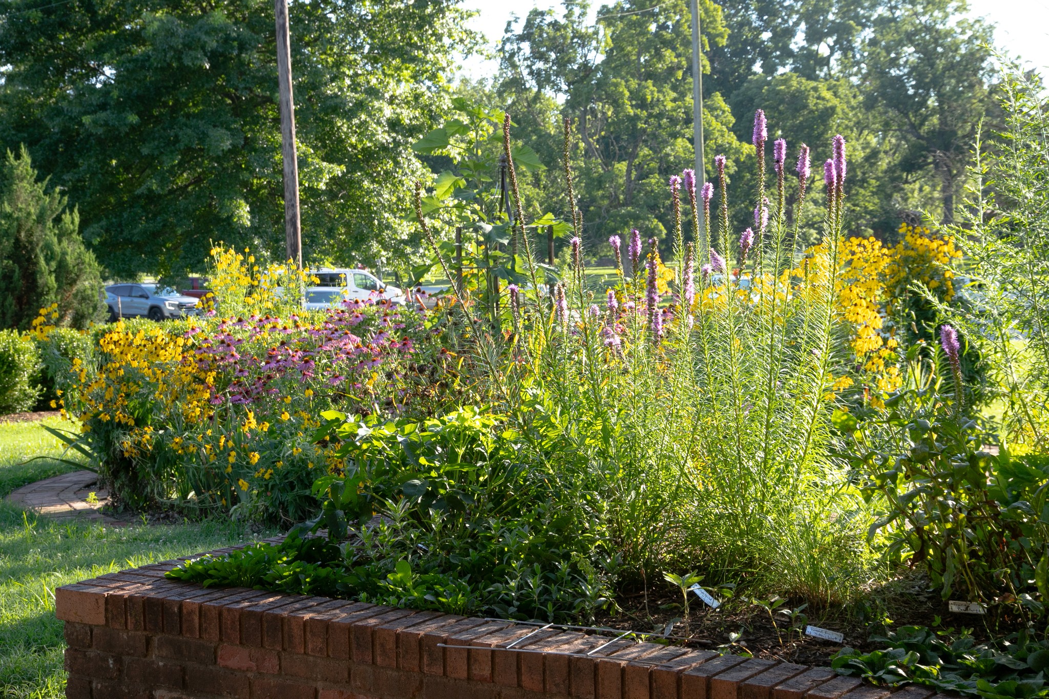 Springfield-Greene... - Springfield-Greene County Park Board