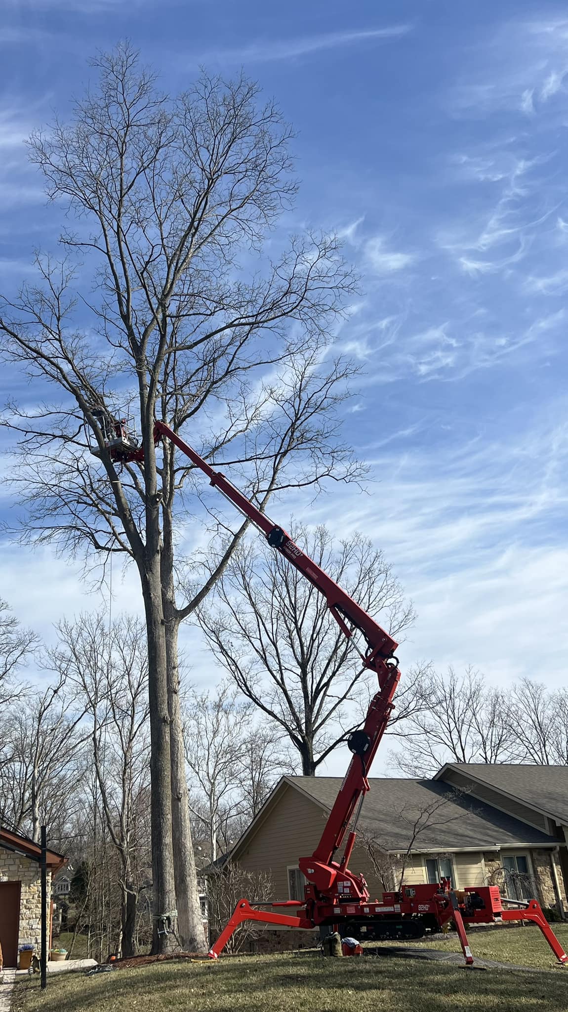 Blue Ox Tree Care of Indiana | Indianapolis IN