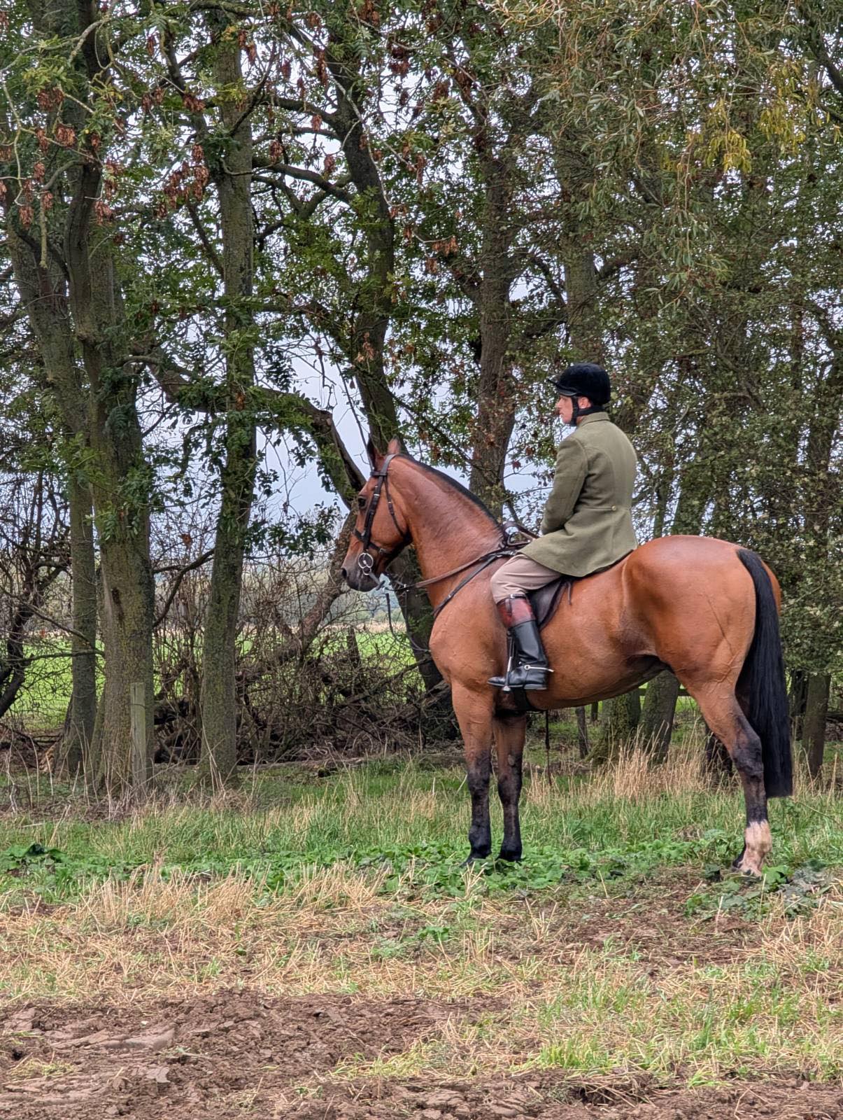 CURRENTLY SABBING We’re in... - Staffordshire Hunt Sabs | Facebook