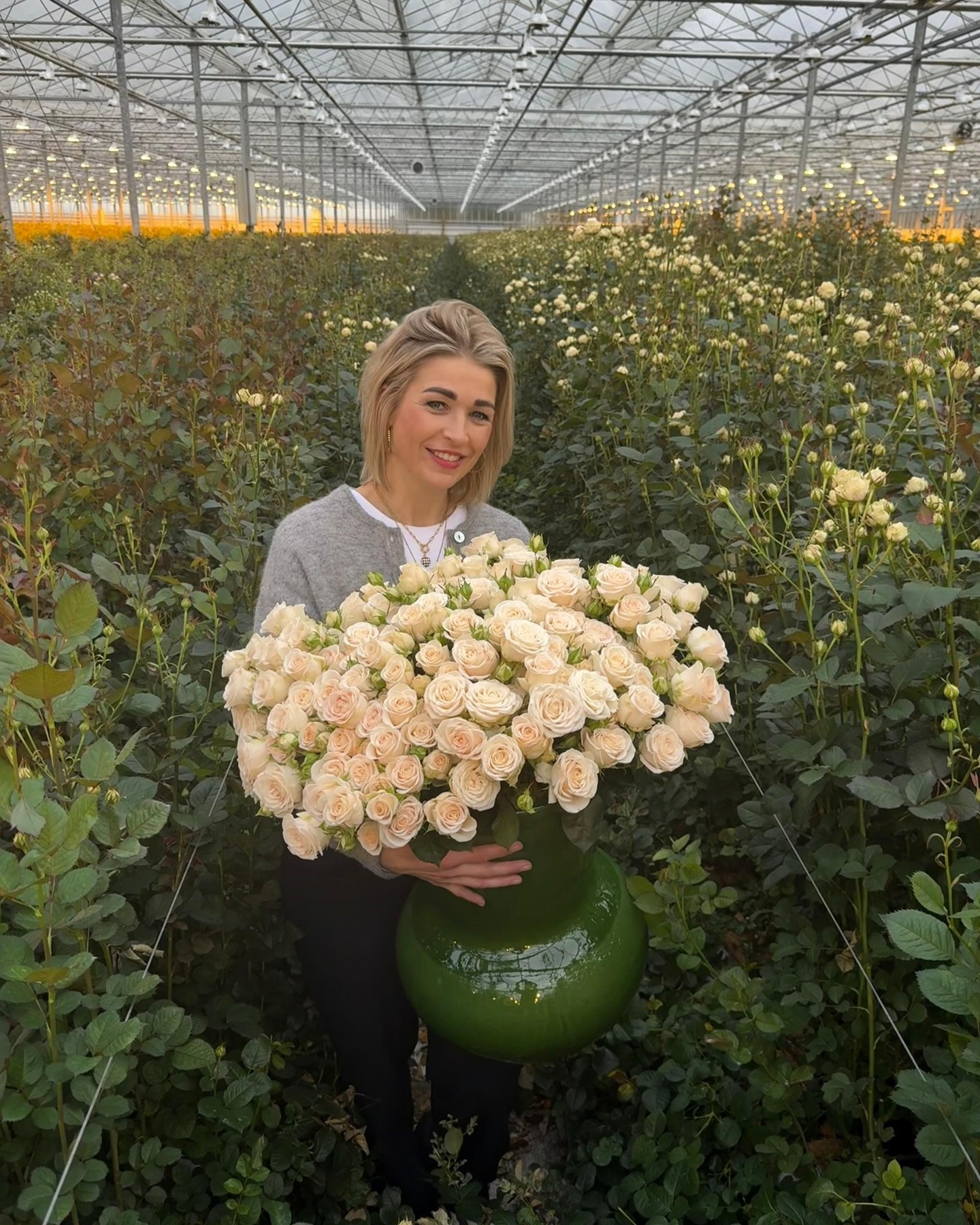 VOORN Spray Roses