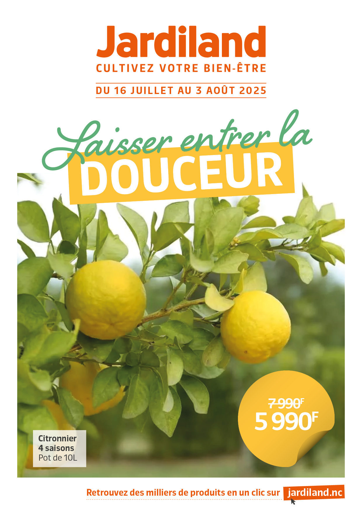 Citronnier 4 Saisons Jardiland