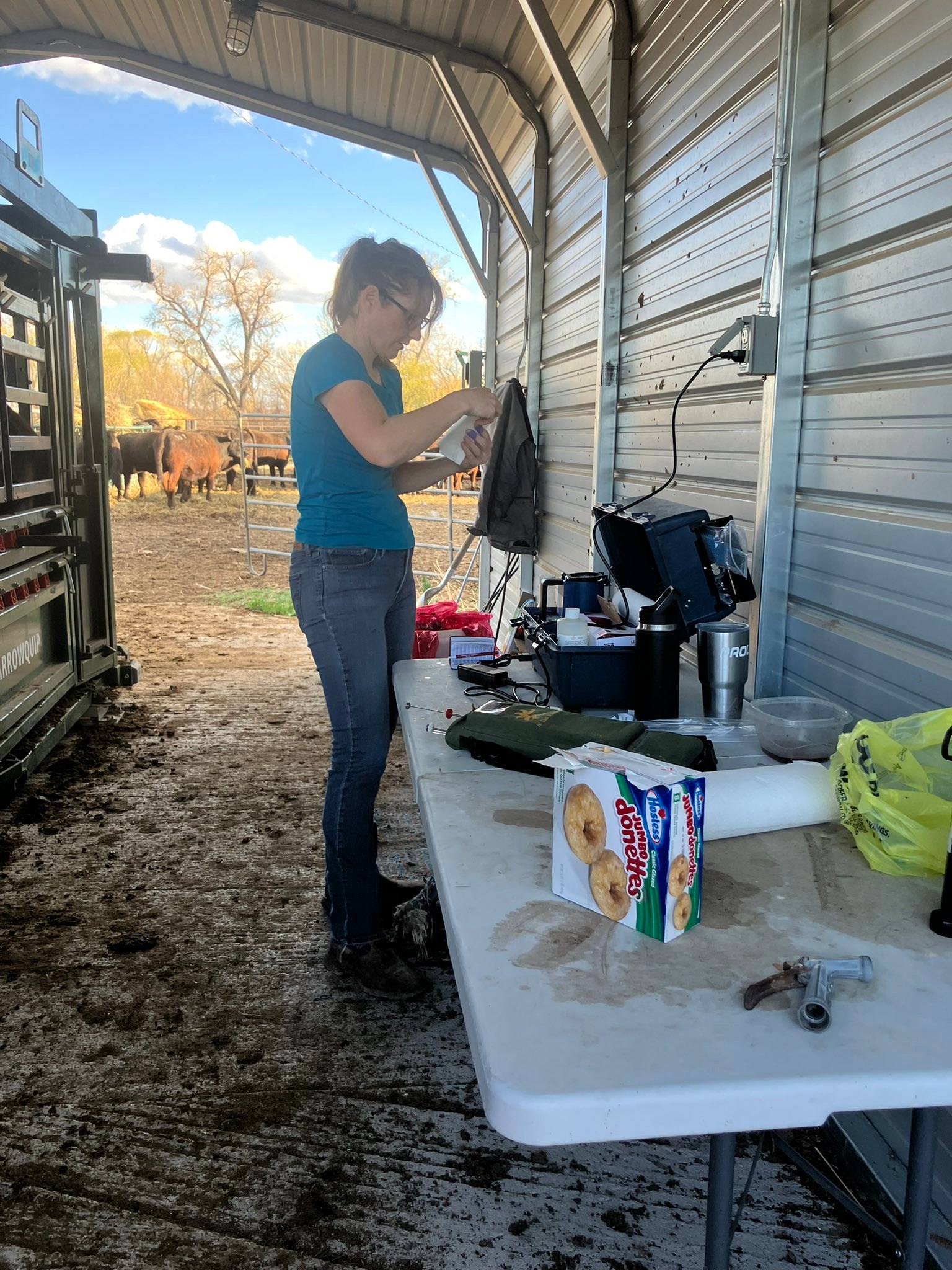 Norman Angus Ranch