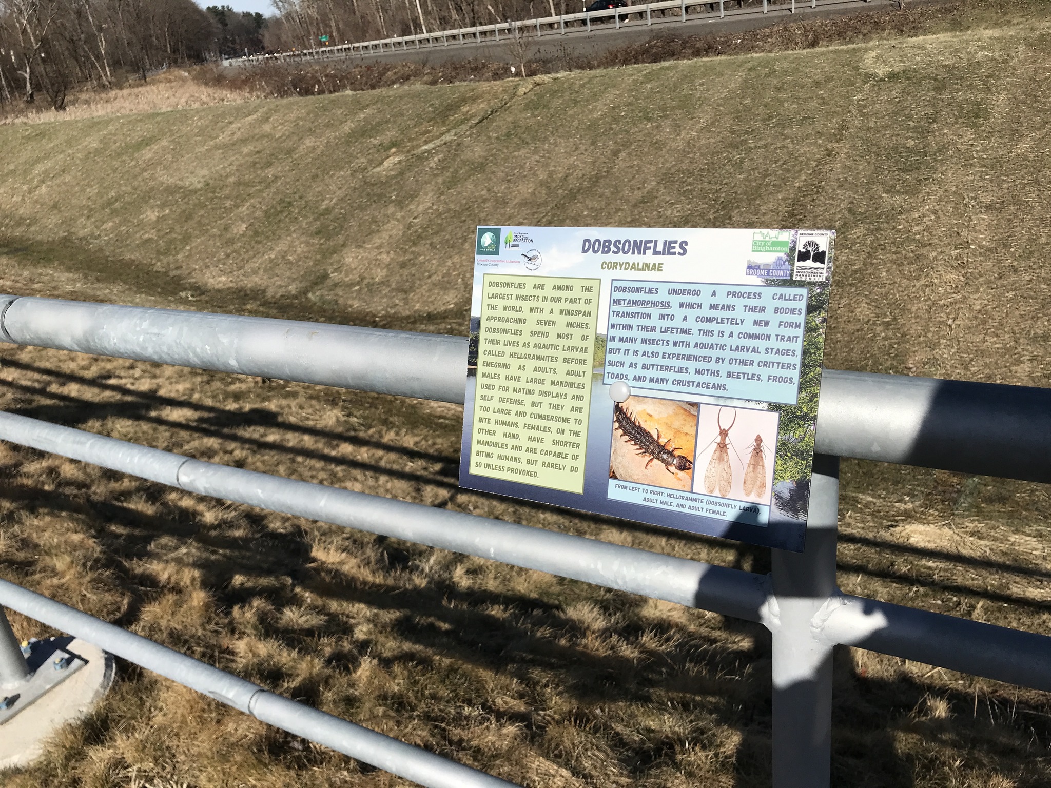 Two Rivers Greenway