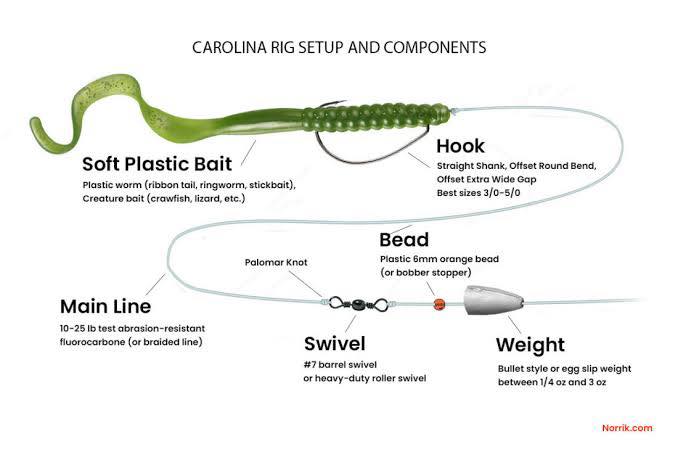 Kang - Carolina rig fishing👍👍 | Facebook