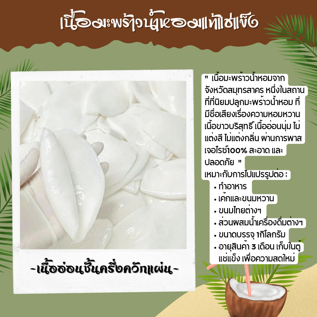 Cococool เนื้อมะพร้าวน้ำหอมบ้านแพ้ว คุณภาพพรีเมี่ยม ส่งทั่วไทย