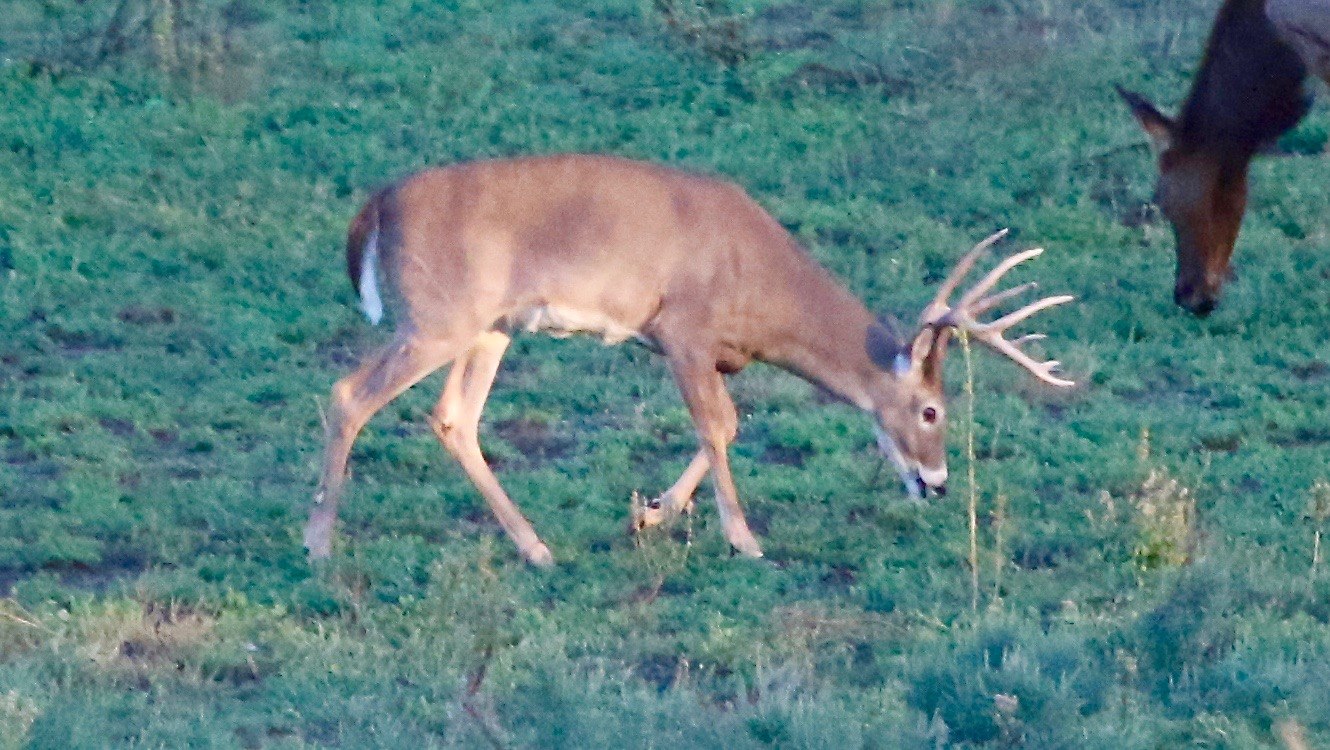 Tarbone Ranch | Lawton OK