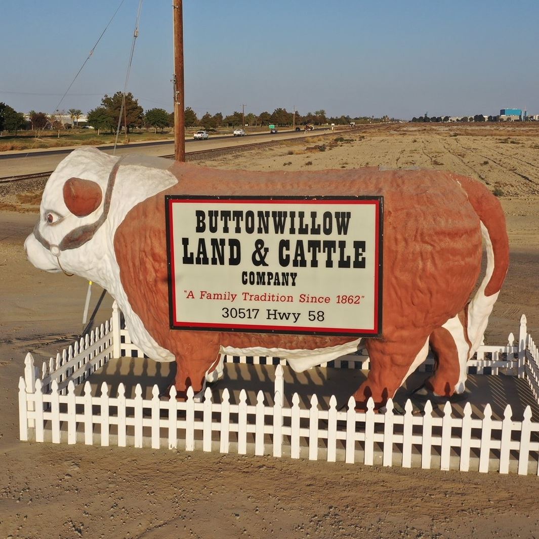 Buttonwillow Land and Cattle Co. | Buttonwillow CA
