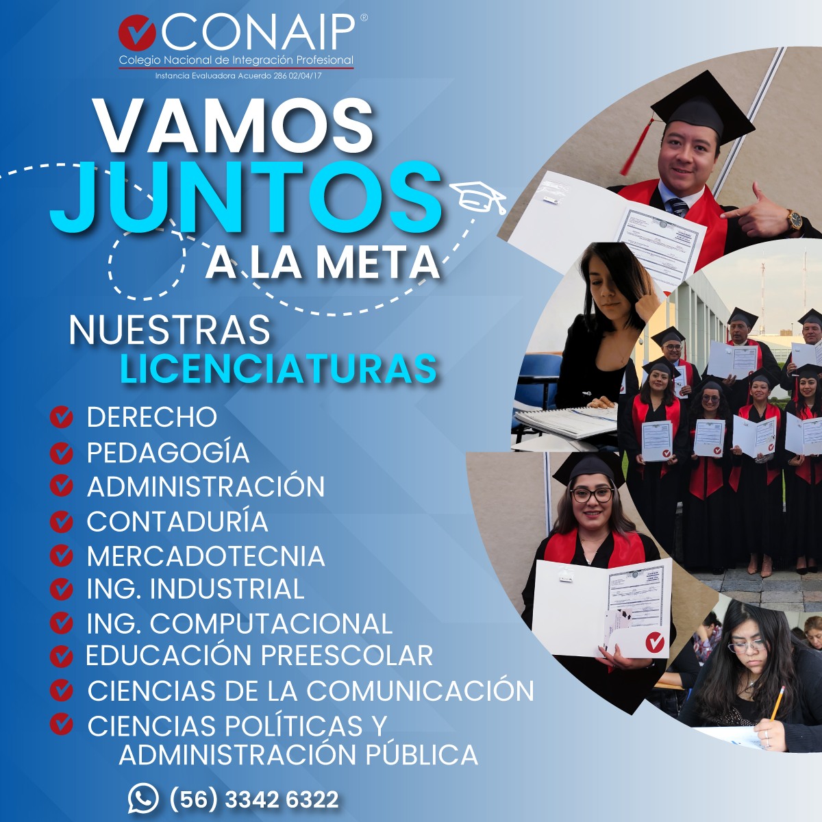 Conaip | Mexico City