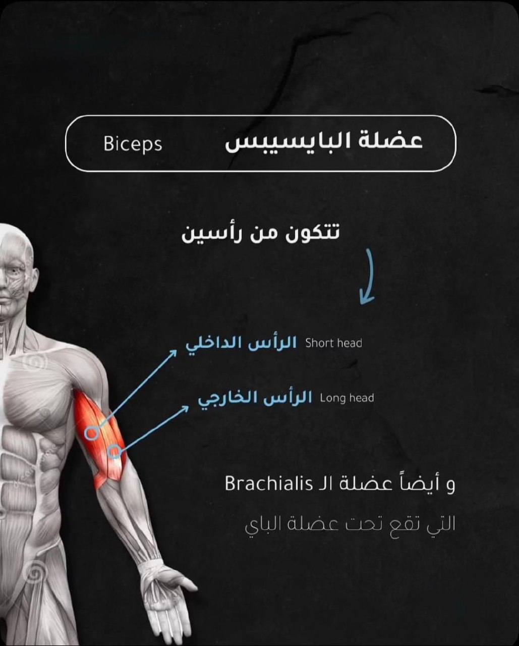 Beltenuom gym - Beltenuom gym added a new photo.