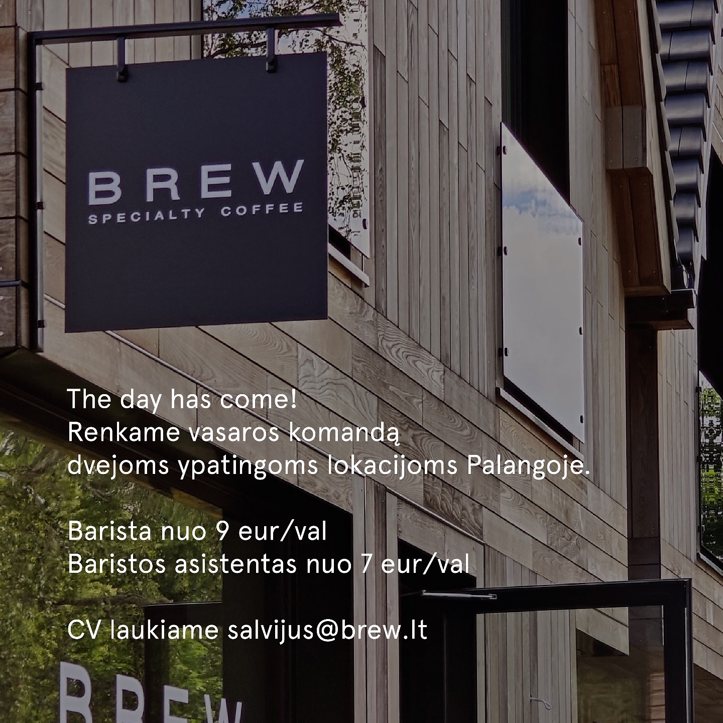 Brew Specialty Coffee 5
