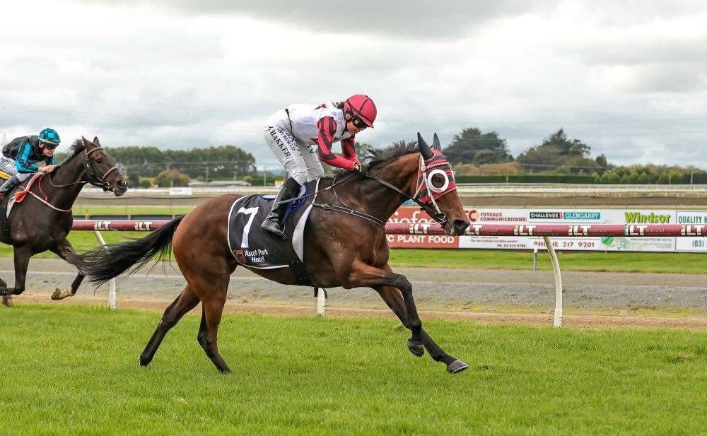 EventStars - Adding some pics & info from Gigis racing stable - nice to ...