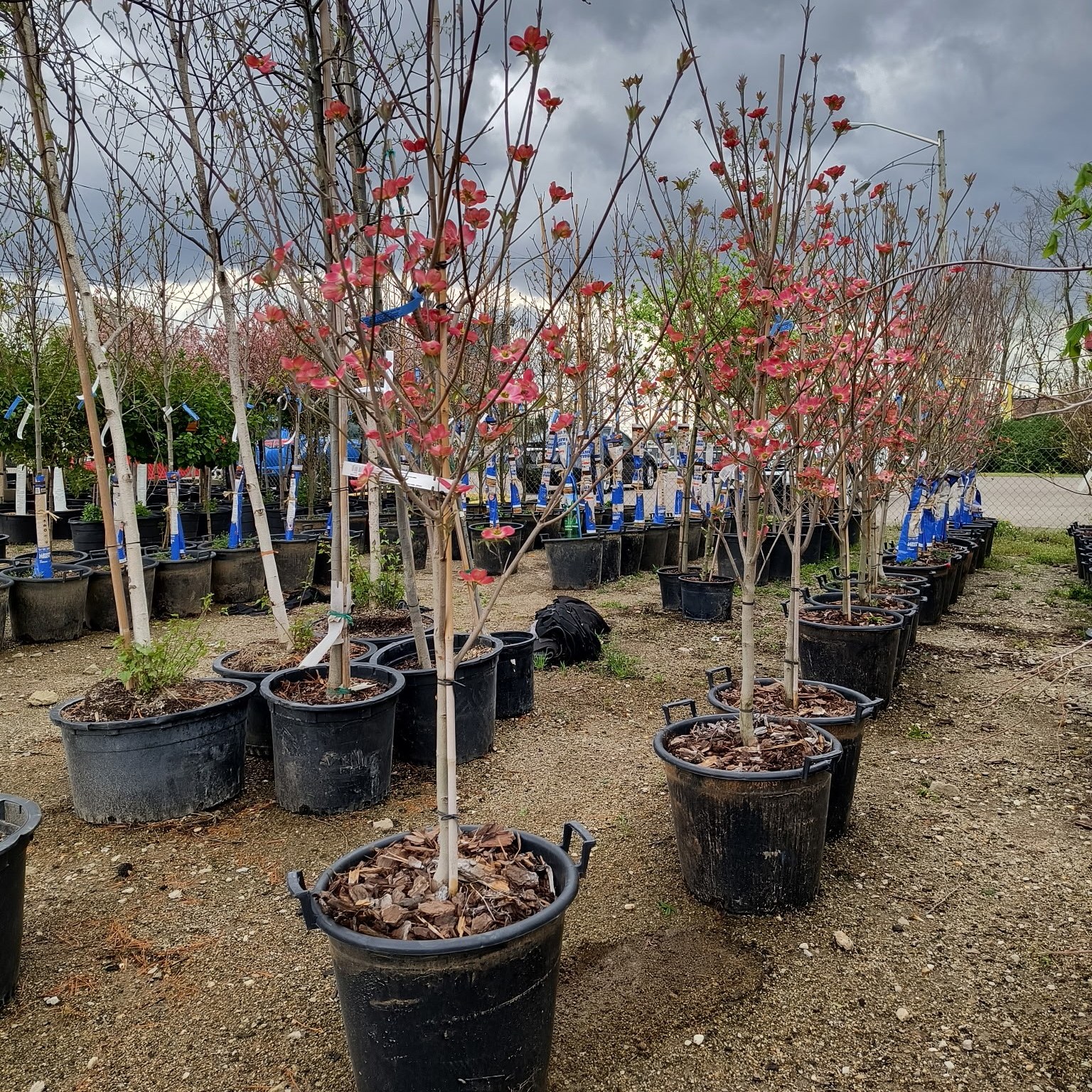 Kurtz Bros Mulch & Soils