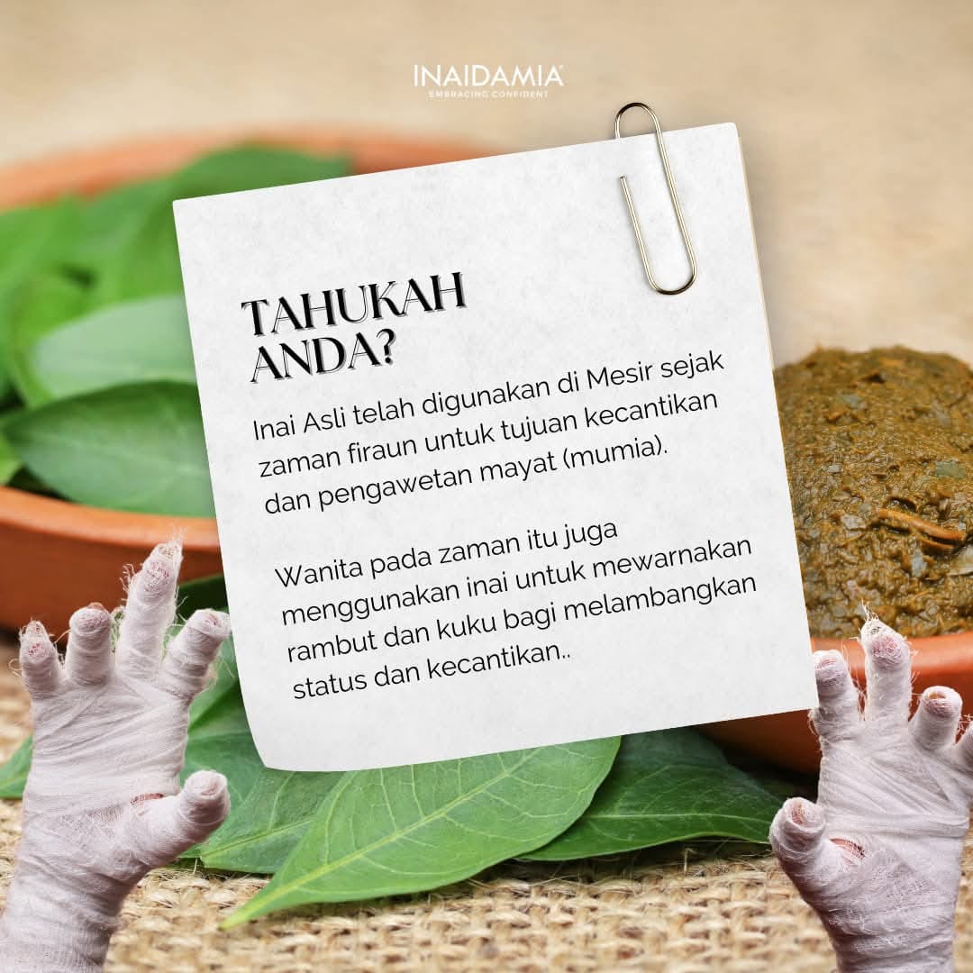 Inai Rambut Daun Asli... - Inai Rambut Daun Asli Inaidamia