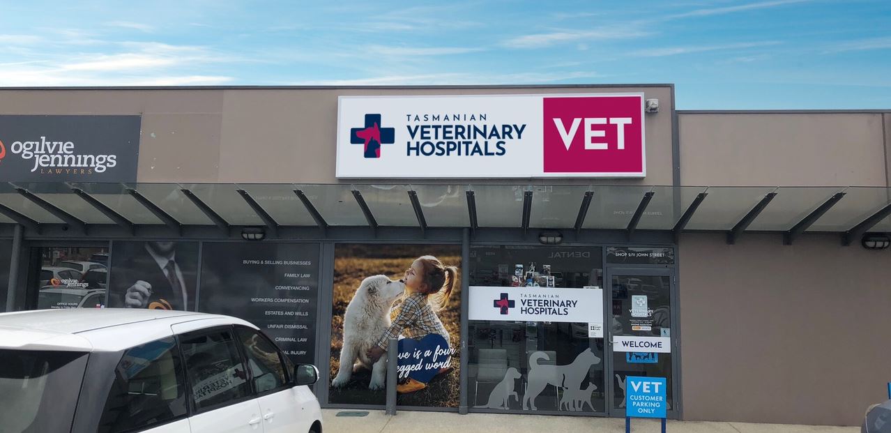 North Hobart Veterinary... - North Hobart Veterinary Hospital