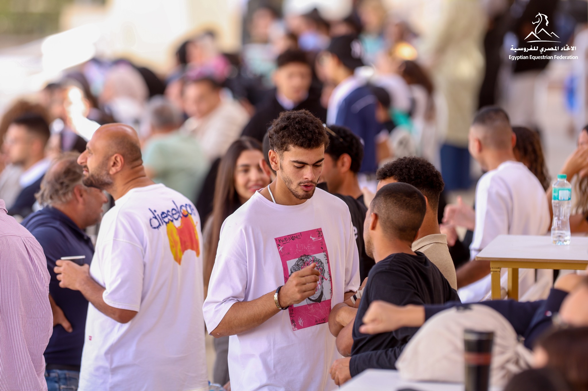 El - تحمل الخيول على جانبي آلرأس تحت الفك السفلي جهاز مبرد وعلى جانبيه ...