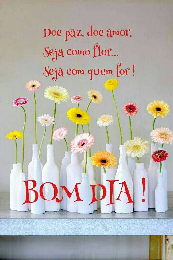 Boanoite Feliz Paz Coração Gratidão Mensagens Frases Reflexao