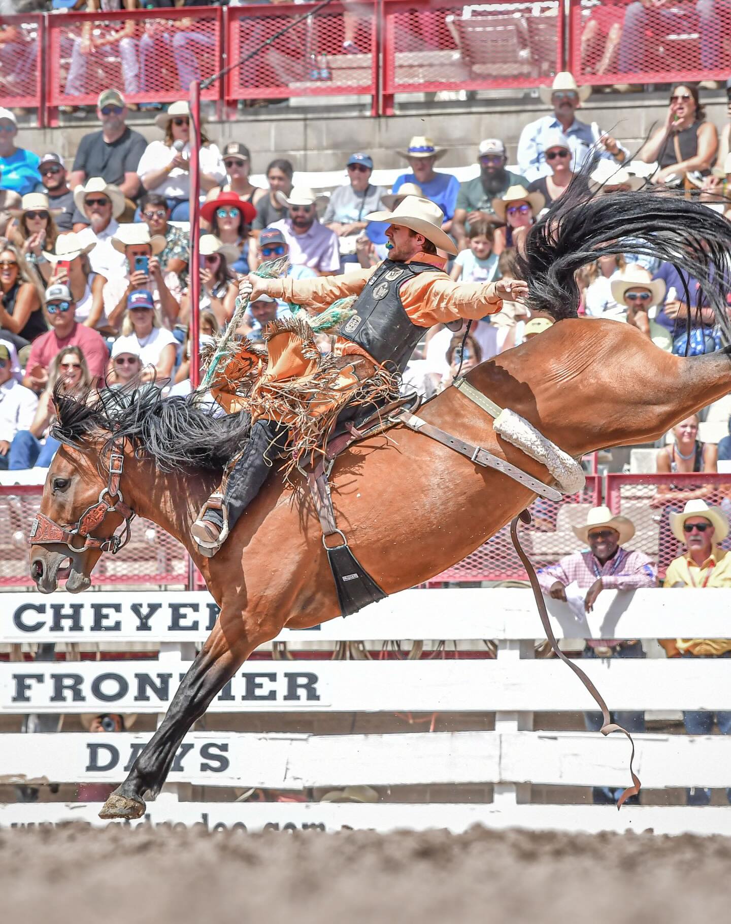 Bronc Riding Nation - HARNEY COUNTY, Oregon - Every horse has a story ...