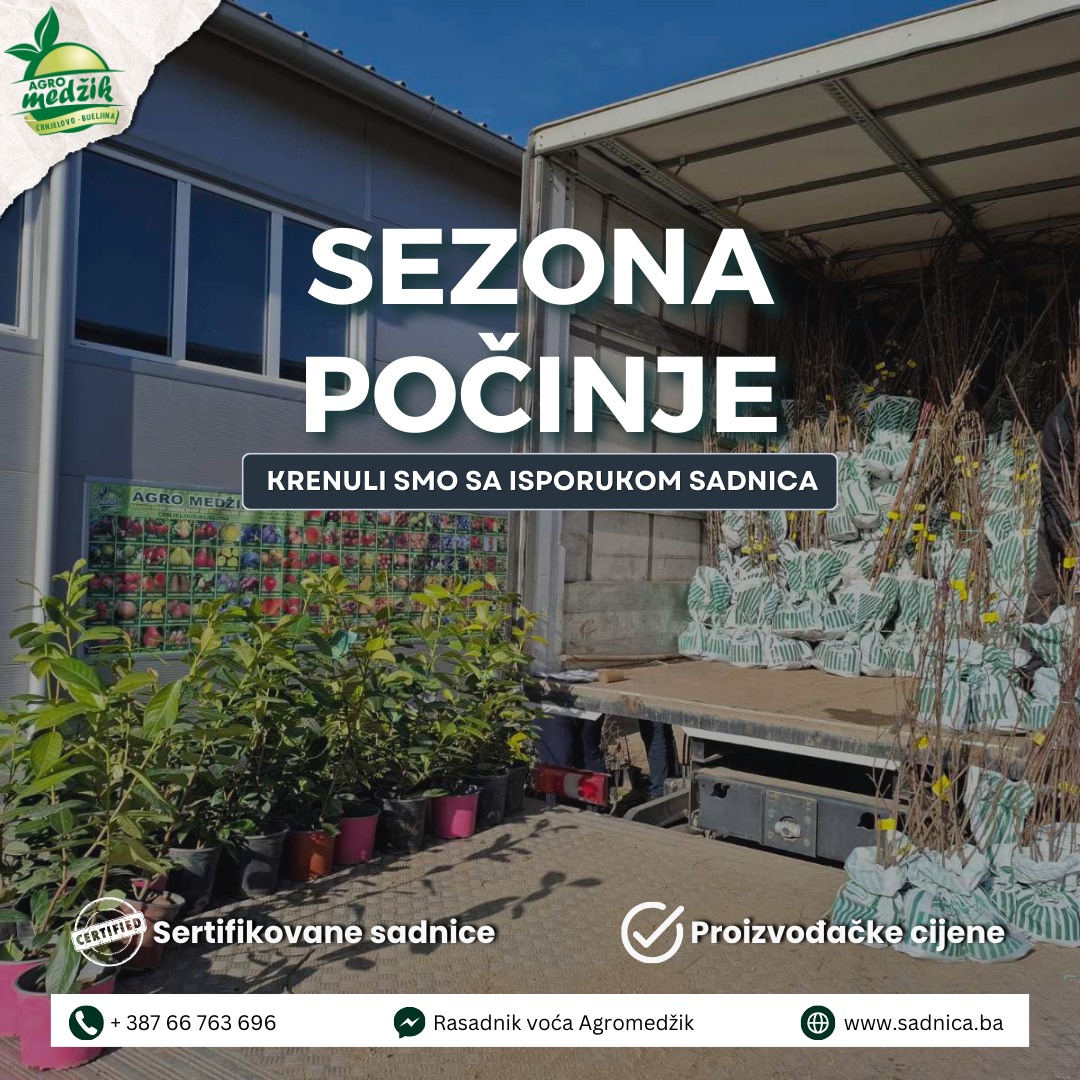 Rasadnik - Sezona je otvorena! 🌿🌹 📣Zbog velike potražnje Rasadnik ...