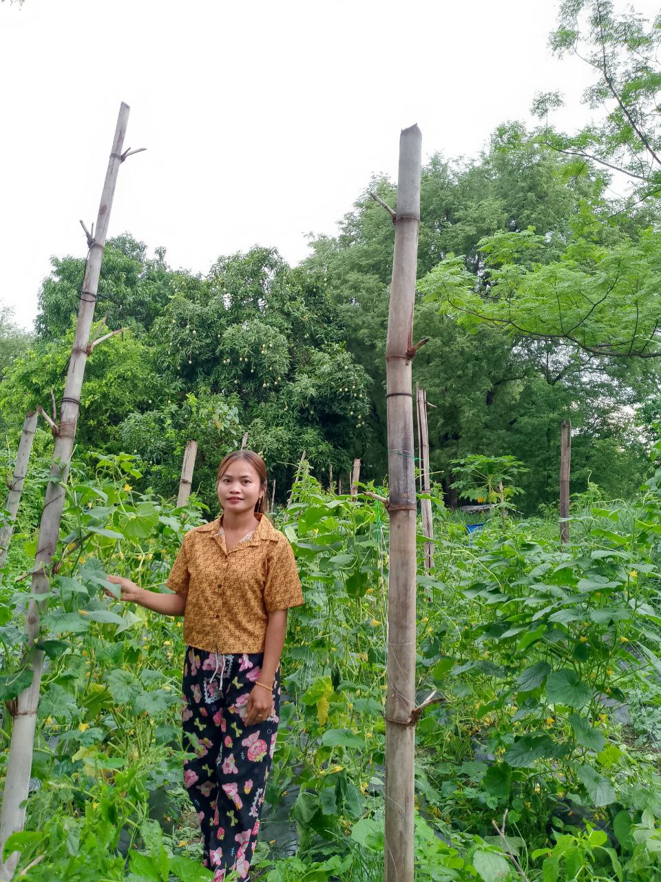 CRDT Cambodian Rural Development Team | Phnom Penh