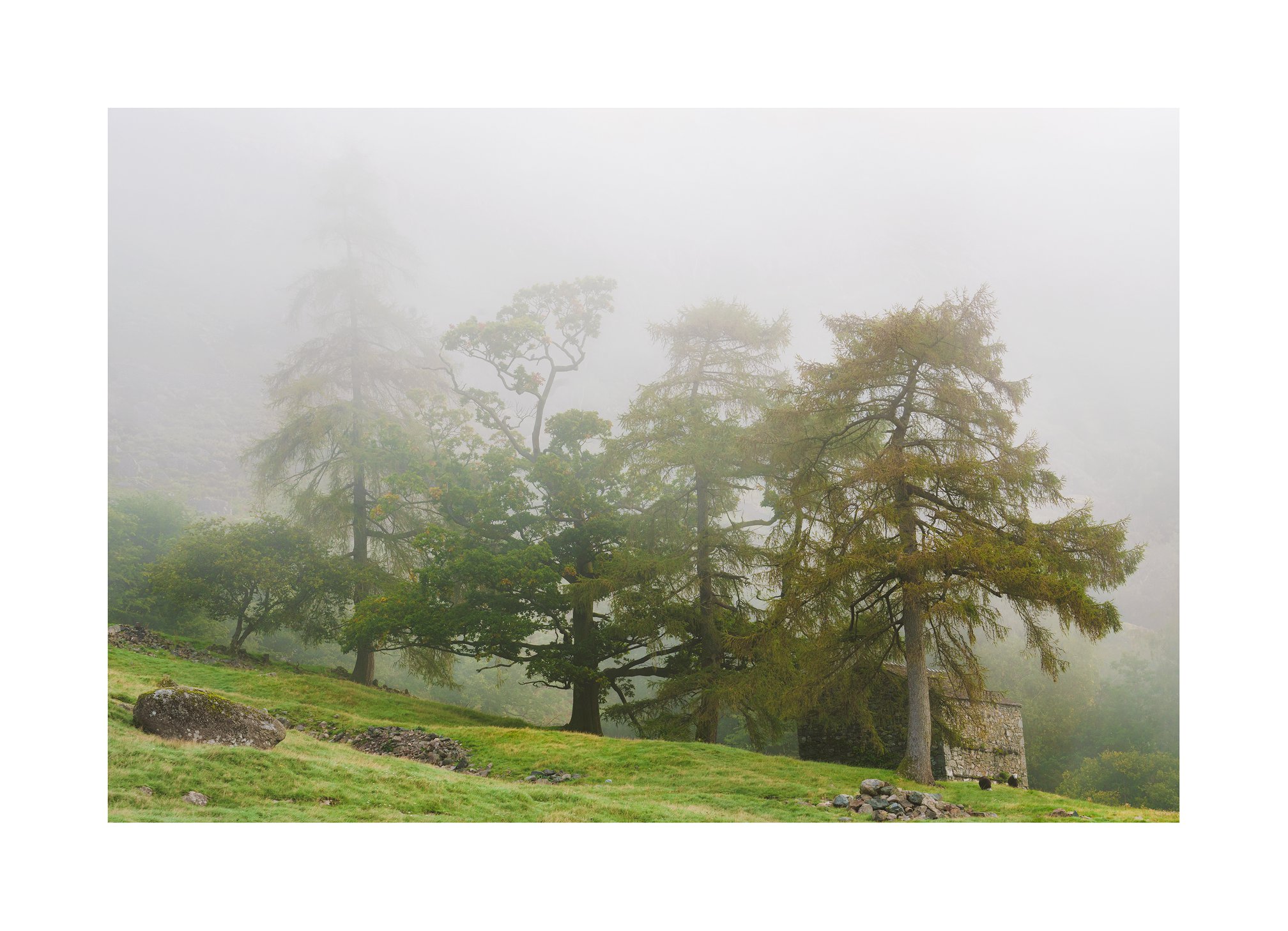 I have drove past... - Daniel Kenealy Landscape Photography | Facebook