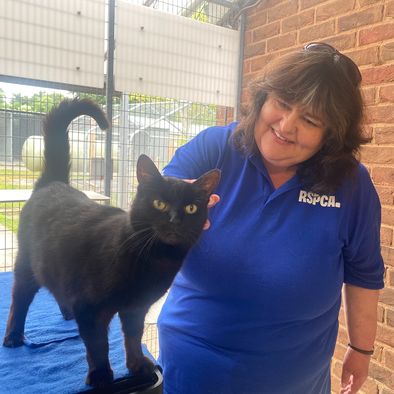 RSPCA West Hatch Animal Centre - ACTION! Photo: David Marshall | Facebook