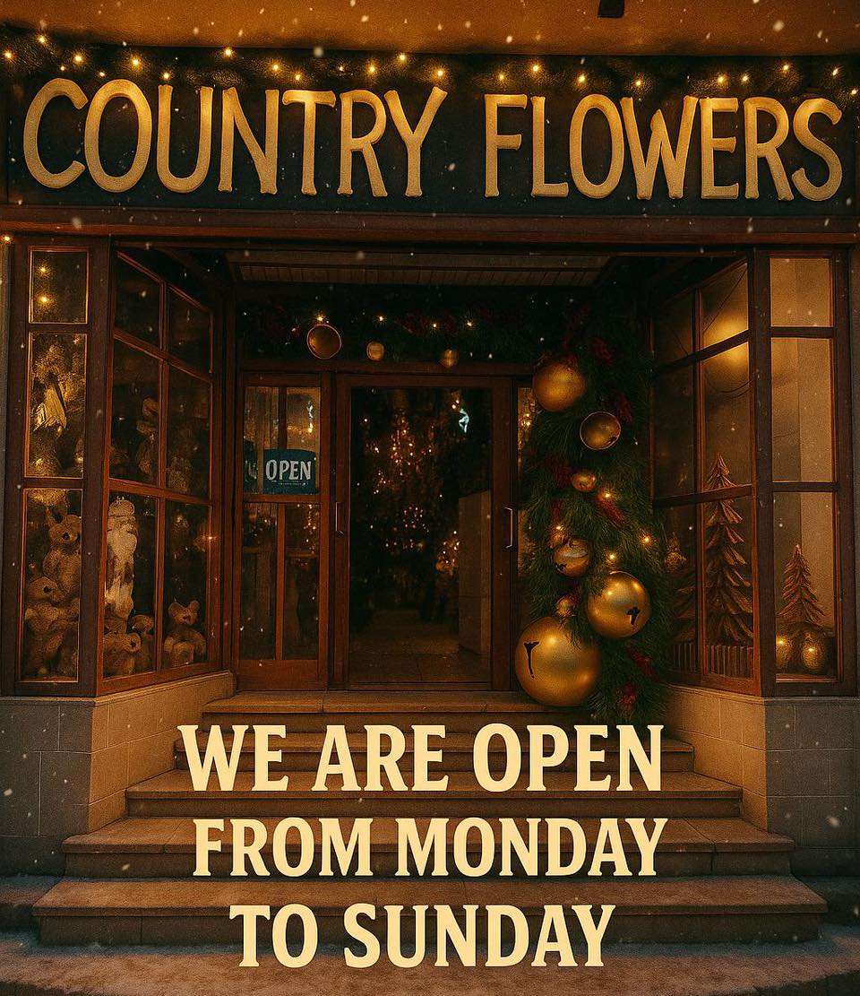 Country - 🎄 All-day, every day — we’re open! Find festive joy from ...
