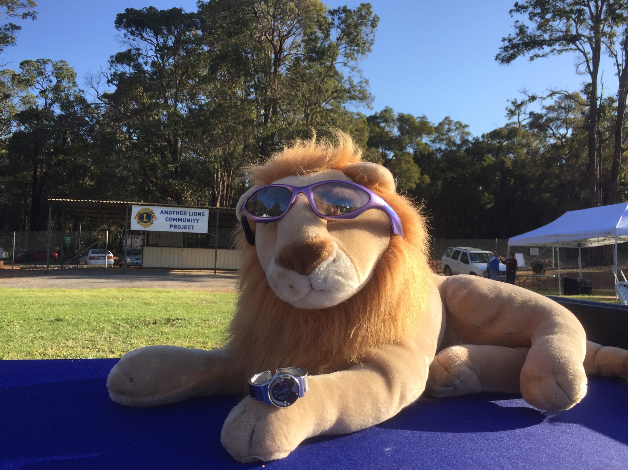 The Jarrahdale Log Chop & Country Fair