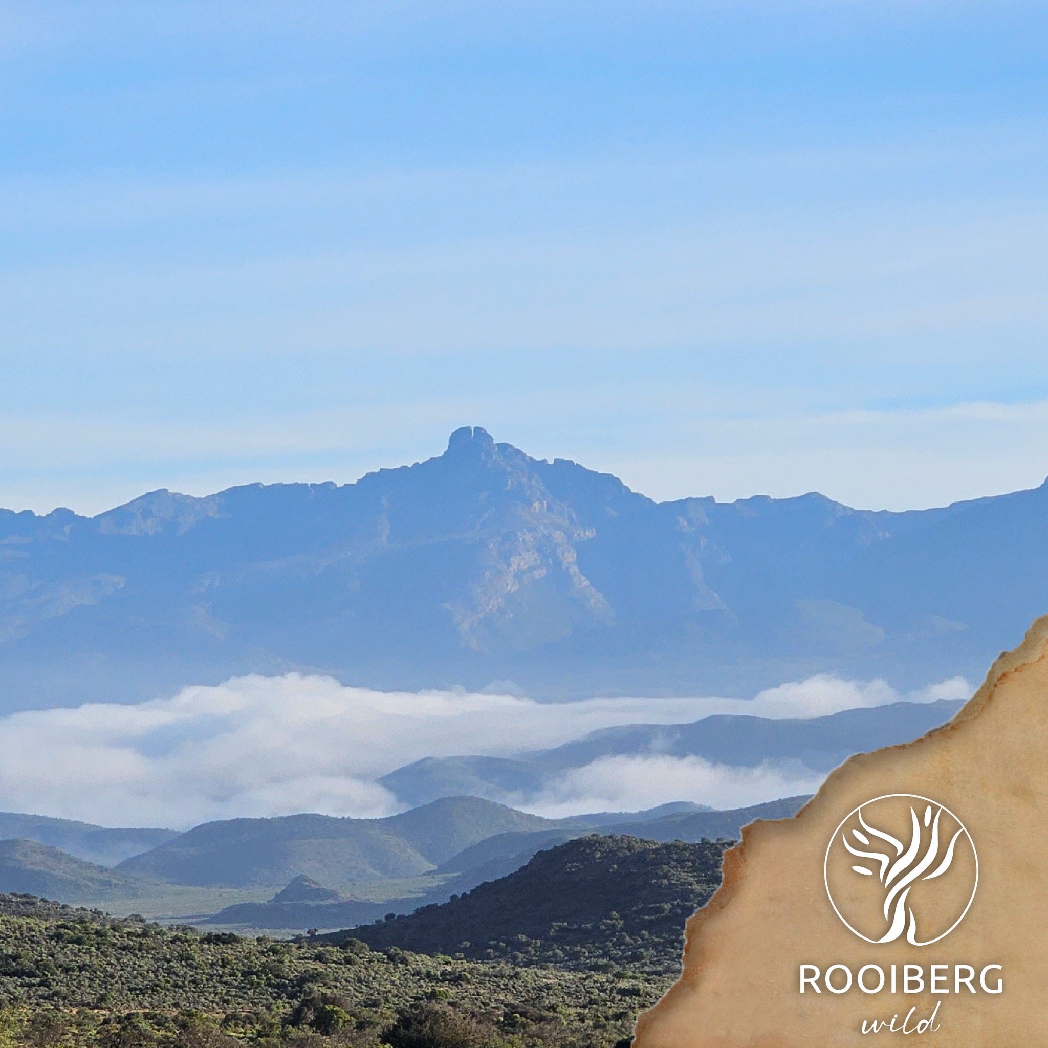 Rooiberg - Towerkop Mountain is more than just a backdrop – it’s a ...
