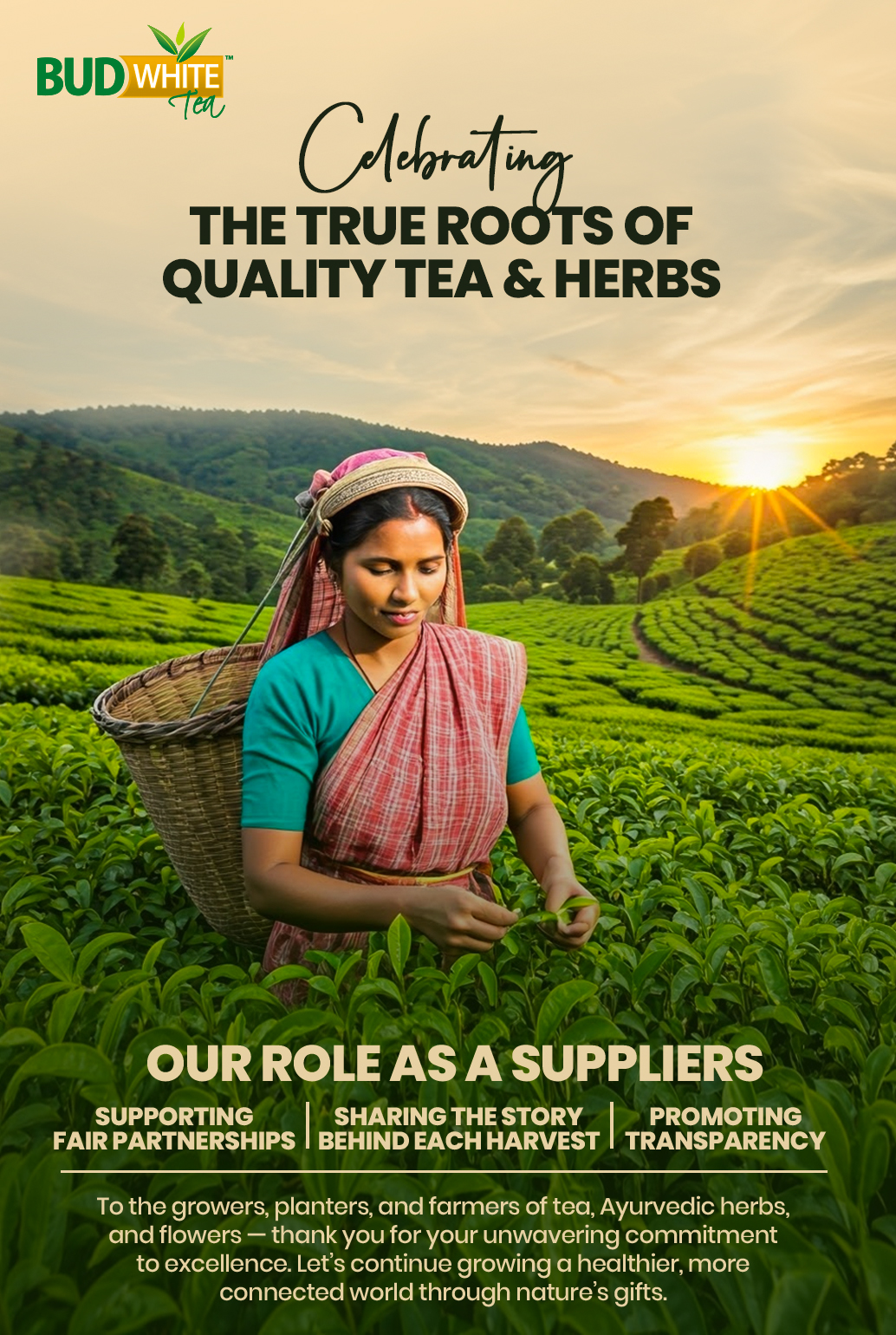 teafloor.com - 🌿 𝐂𝐞𝐥𝐞𝐛𝐫𝐚𝐭𝐢𝐧𝐠 𝐭𝐡𝐞 𝐓𝐫𝐮𝐞 𝐑𝐨𝐨𝐭𝐬 𝐨𝐟 𝐐𝐮𝐚𝐥𝐢𝐭𝐲 𝐓𝐞𝐚 & 𝐇𝐞𝐫𝐛𝐬 🌿 At ...
