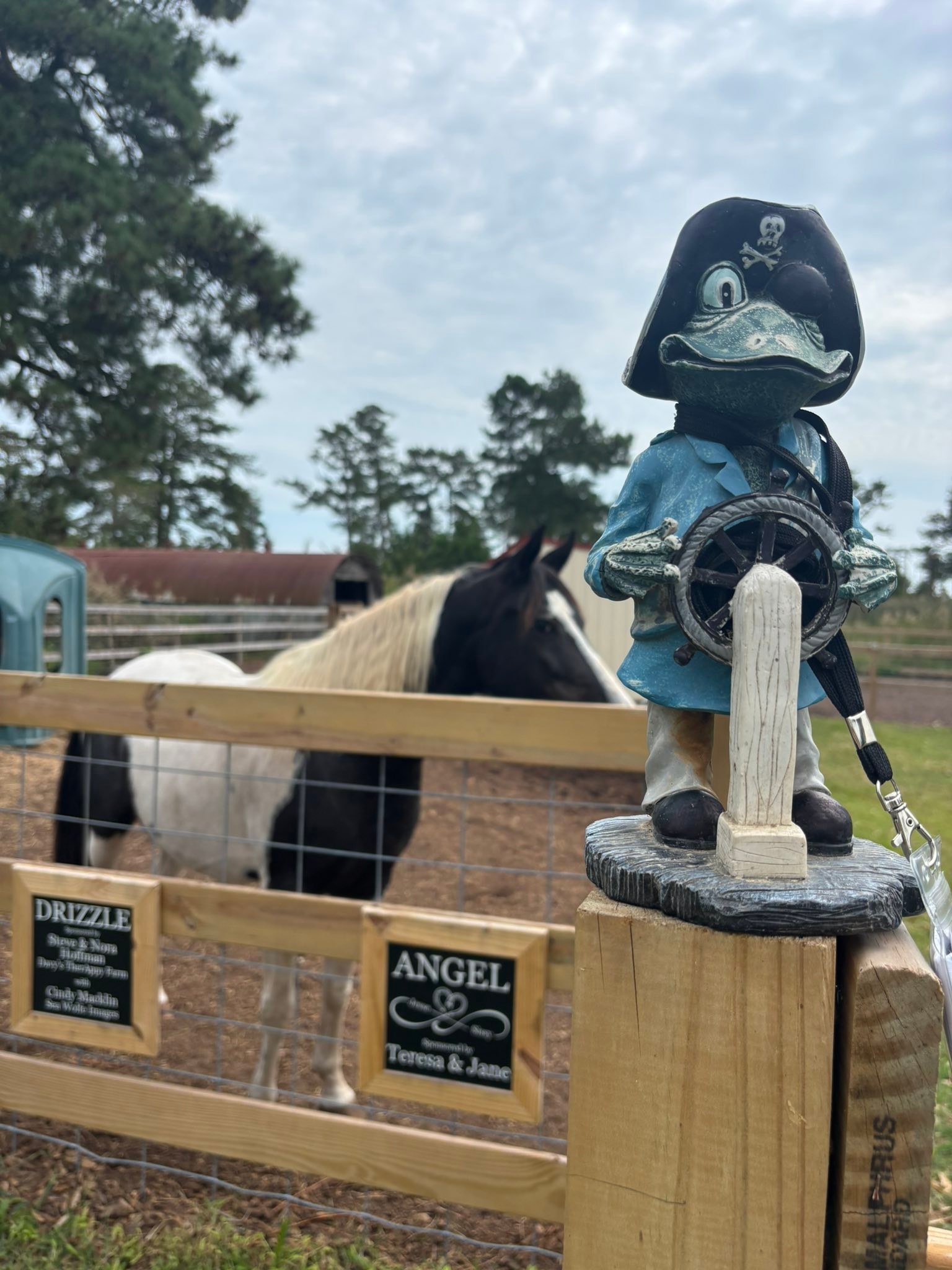 Beebe Ranch | Chincoteague VA