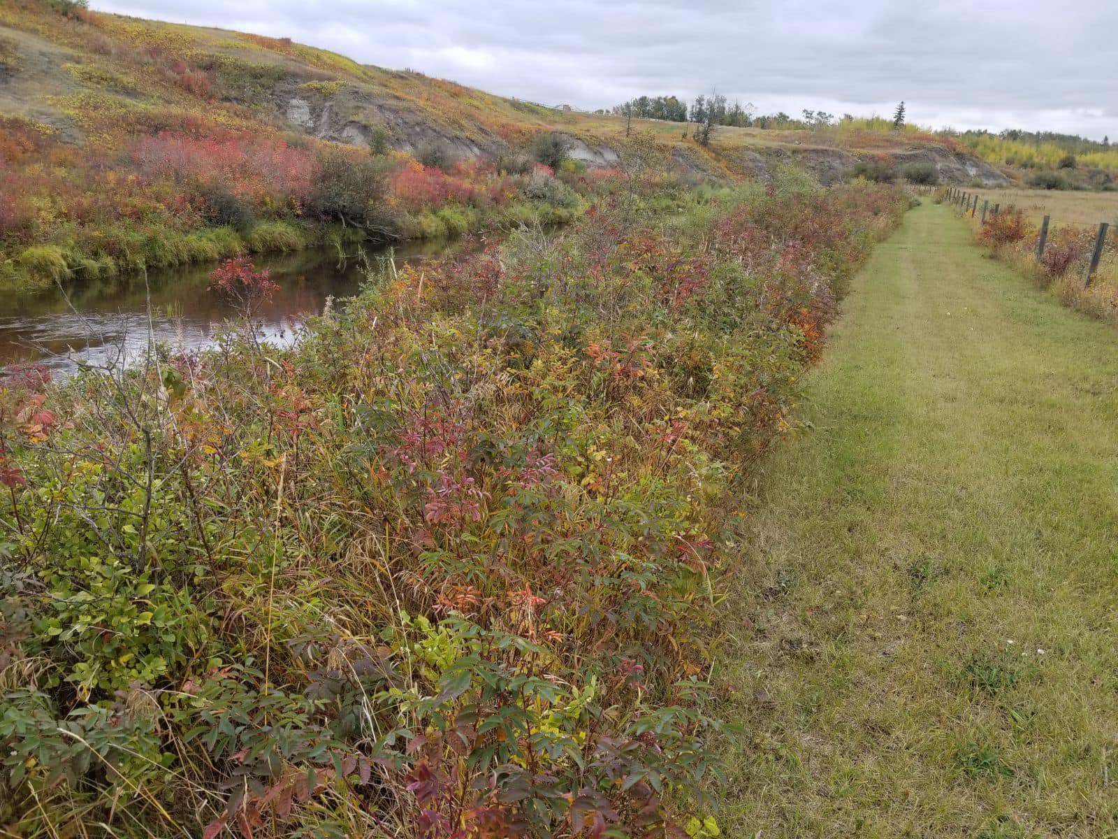 Longriders RV Park | Edmonton AB