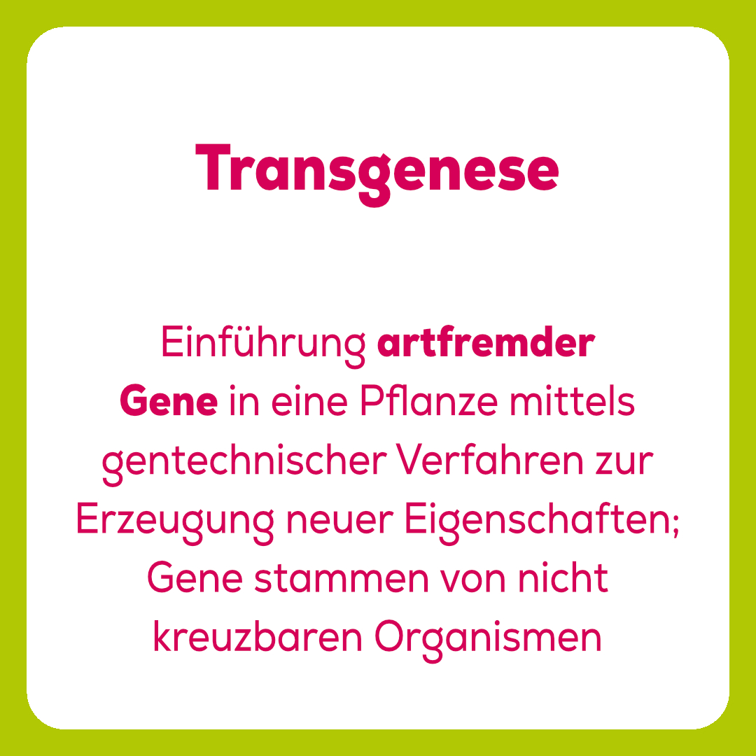 SAG - 💡 Was ist eigentlich…? Wenn es um Gentechnik in der ...