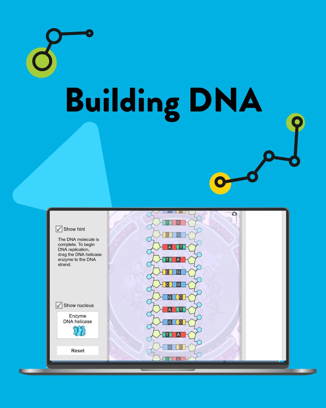 ExploreLearning - On June 4, 1984, DNA from the extinct quagga was ...