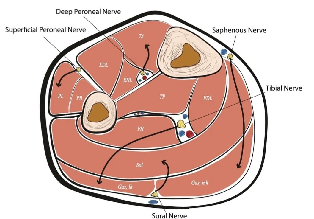 Dr Climov - 🔙 Throwback to our article on 