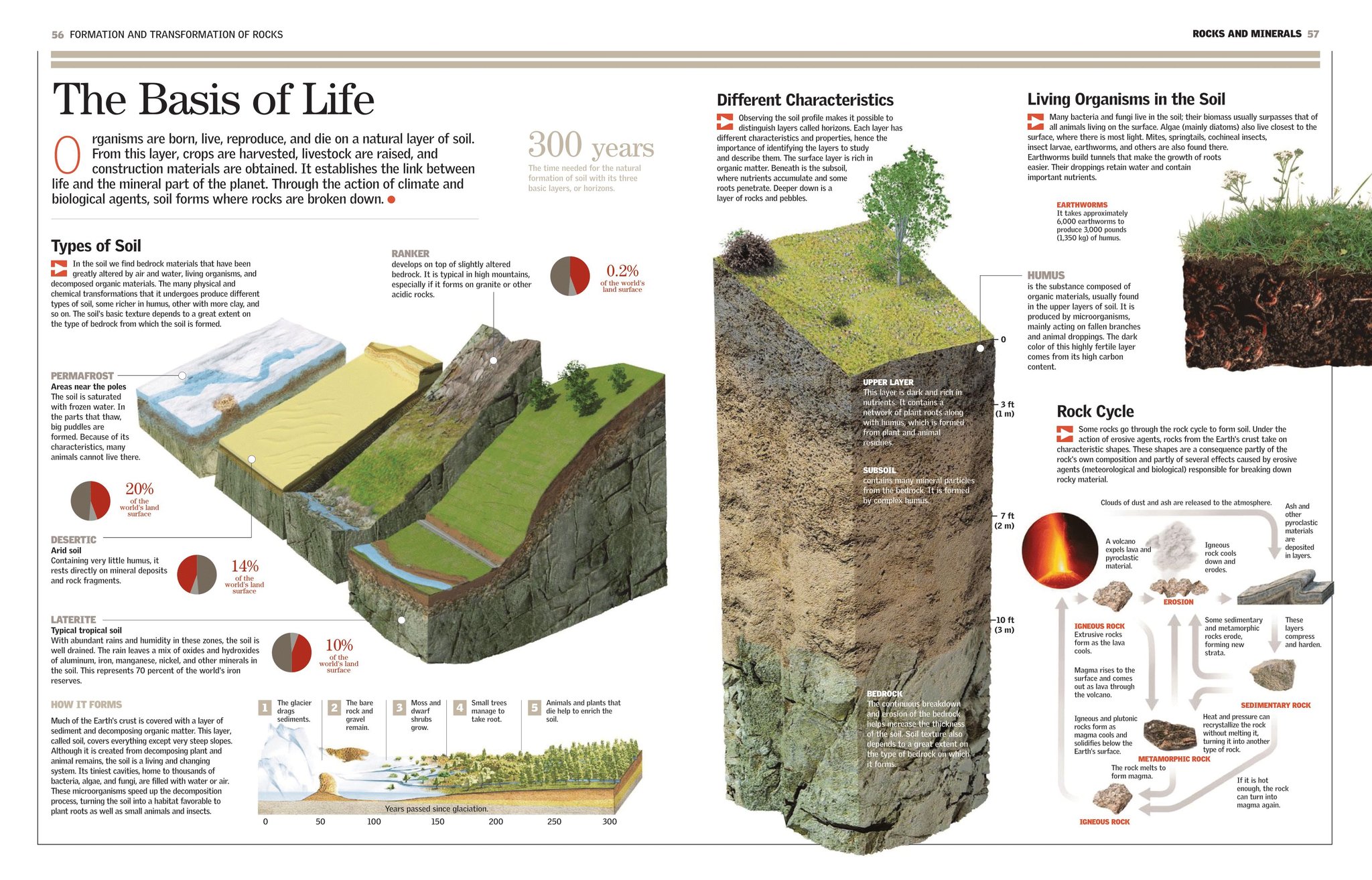 Ceres Science - The Basis of Life by Illustrated...