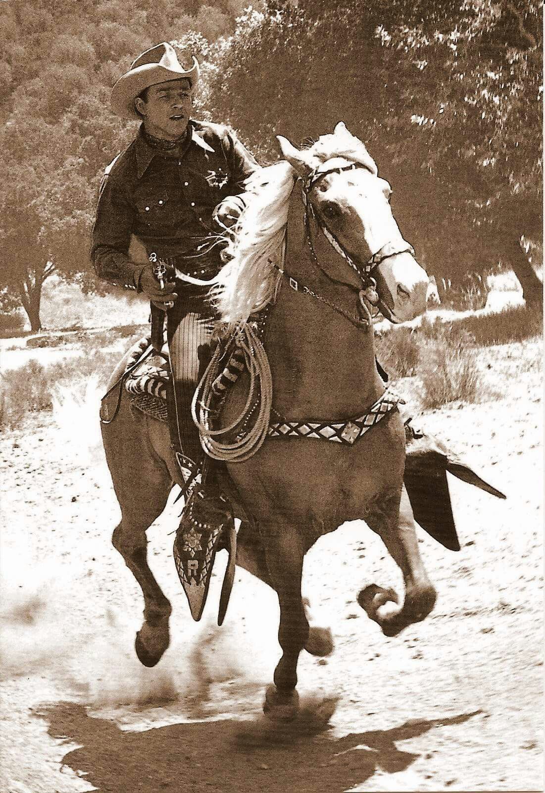 Loyal - Roy Rogers’ faithful golden palomino Trigger had an ...