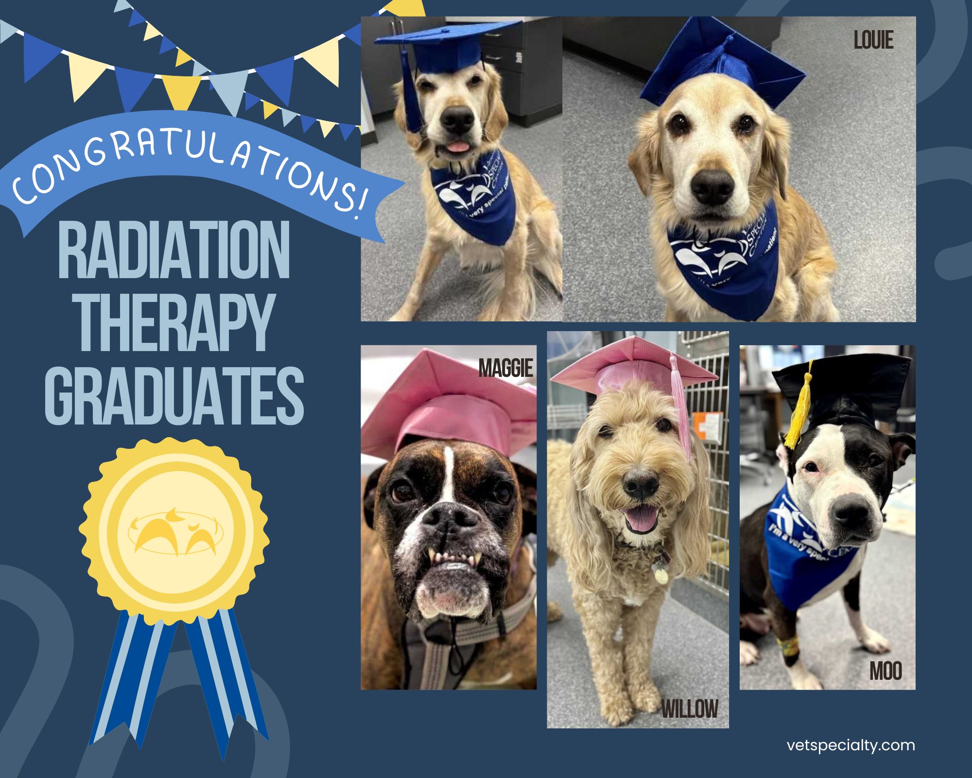 Veterinary - 🎓🐾 Big congratulations to yet another round of recent ...